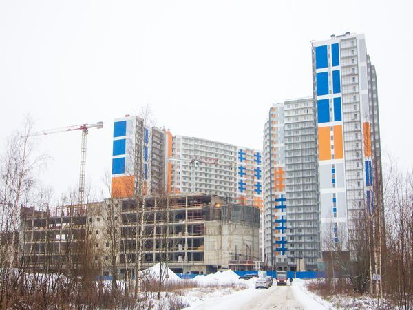 ГК «Полис Групп»